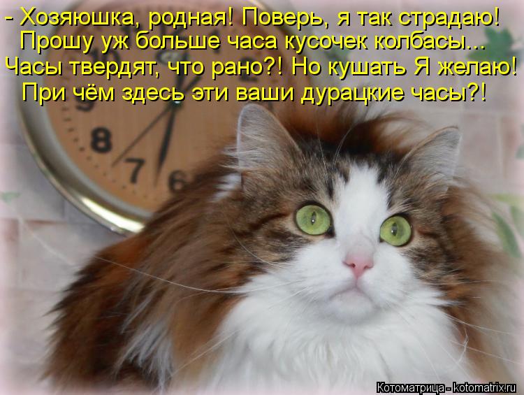 - Хозяюшка, родная! Поверь, я так страдаю! Прошу уж больше часа кусочек колбасы... Часы твердят, что ... Котоматрица: - Хозяюшка, родная! Поверь, я так страдаю! Прошу уж больше часа кусочек колбасы... Часы твердят, что рано?! Но кушать Я желаю! При чём здесь эти в