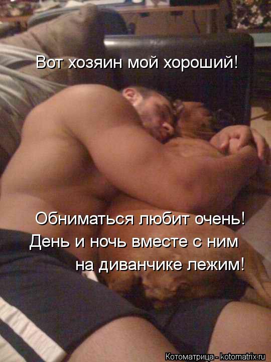 Вот хозяин мой хороший! Обниматься любит очень! День и ночь вместе с ним на диванчике лежим!... Котоматрица: Вот хозяин мой хороший! Обниматься любит очень! День и ночь вместе с ним на диванчике лежим!