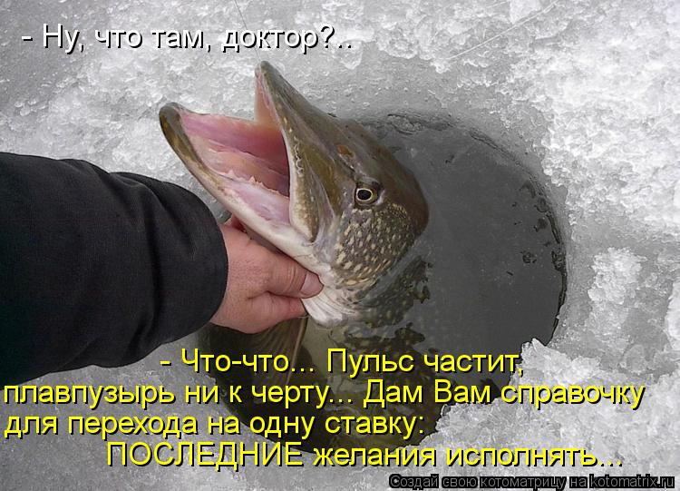 - Ну, что там, доктор?.. - Что-что... Пульс частит, для перехода на одну ставку: ПОСЛЕДНИЕ желания ... Котоматрица: - Ну, что там, доктор?.. - Что-что... Пульс частит, для перехода на одну ставку: ПОСЛЕДНИЕ желания исполнять... плавпузырь ни к черту... Дам Вам сп