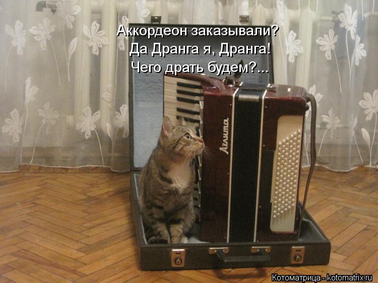 Аккордеон заказывали? Да Дранга я, Дранга! Чего драть будем?...... Котоматрица: Аккордеон заказывали? Да Дранга я, Дранга! Чего драть будем?...