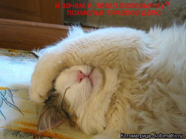 Красивые Женщины В Колготках