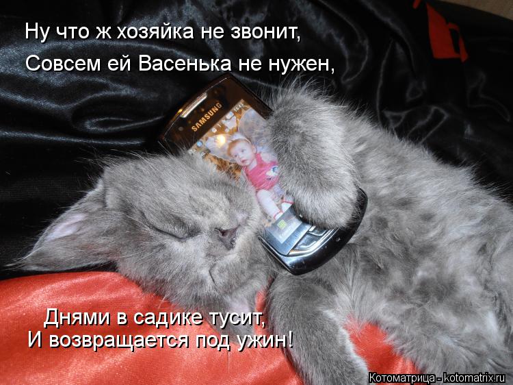 Ну что ж хозяйка не звонит, Совсем ей Васенька не нужен, Днями в садике тусит, И возвращается под уж... Котоматрица: Ну что ж хозяйка не звонит, Совсем ей Васенька не нужен, Днями в садике тусит, И возвращается под ужин!