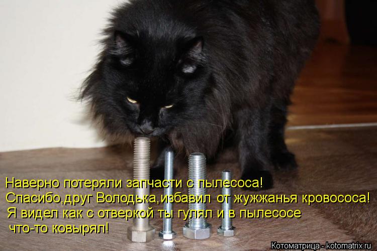 Наверно потеряли запчасти с пылесоса! Спасибо,друг Володька,избавил от жужжанья кровососа! Я видел ка... Котоматрица: Наверно потеряли запчасти с пылесоса! Спасибо,друг Володька,избавил от жужжанья кровососа! Я видел как с отверкой ты гулял и в пылесосе что-