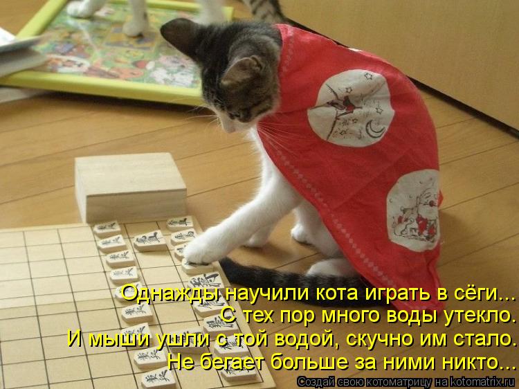 Котоматрица: Однажды научили кота играть в сёги... С тех пор много воды утекло. И мыши ушли с той водой, скучно им стало. Не бегает больше за ними никто...