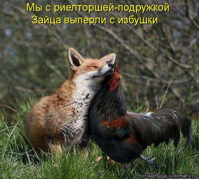 http://kotomatrix.ru/images/lolz/2012/11/15/kotomatritsa_na.jpg