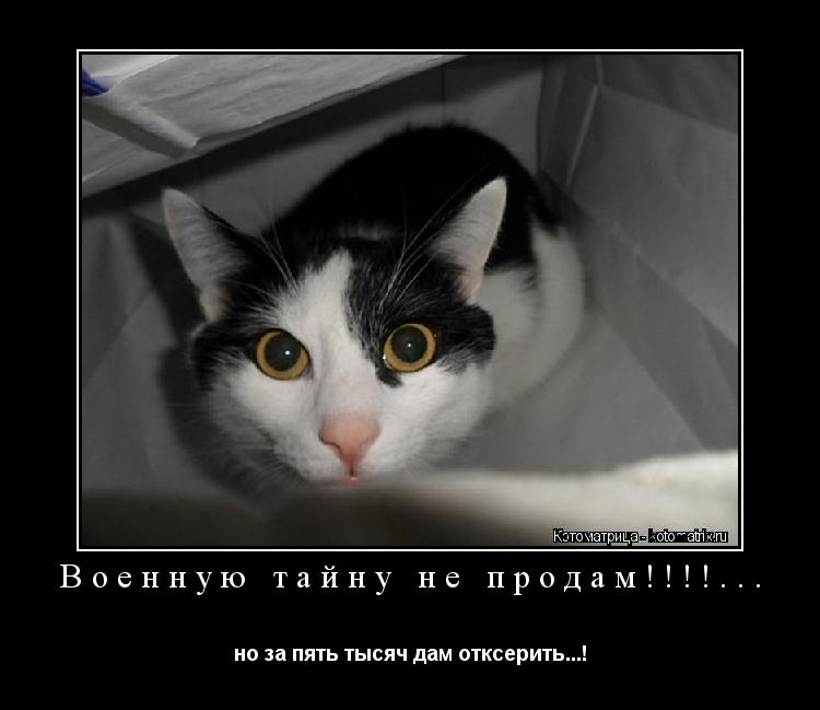 Военную тайну не продам!!!!... но за пять тысяч дам отксерить...!... Котоматрица: Военную тайну не продам!!!!... но за пять тысяч дам отксерить...!