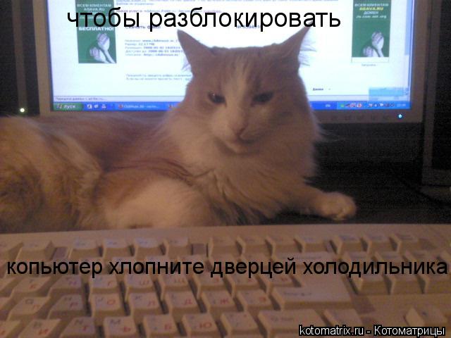 Эти забавные животные