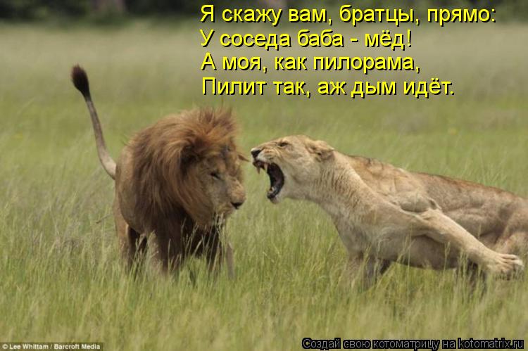 Я скажу вам, братцы, прямо: У соседа баба - мёд! А моя, как пилорама, Пилит так, аж дым идёт.... Котоматрица: Я скажу вам, братцы, прямо: У соседа баба - мёд! А моя, как пилорама, Пилит так, аж дым идёт.