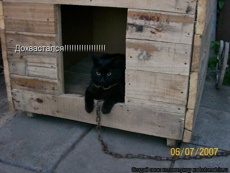 Дохвастался!!!!!!!!!!!!!!!!!... Котоматрица: Дохвастался!!!!!!!!!!!!!!!!!
