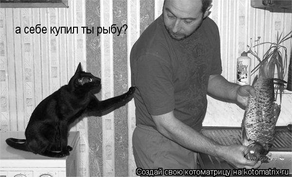 а себе купил ты рыбу?... Котоматрица: а себе купил ты рыбу?