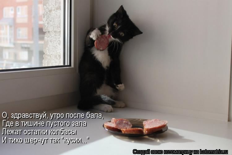 Котоматрица: О, здравствуй, утро после бала, Где в тишине пустого зала Лежат остатки колбасы И тихо шерчут так "кусии..."