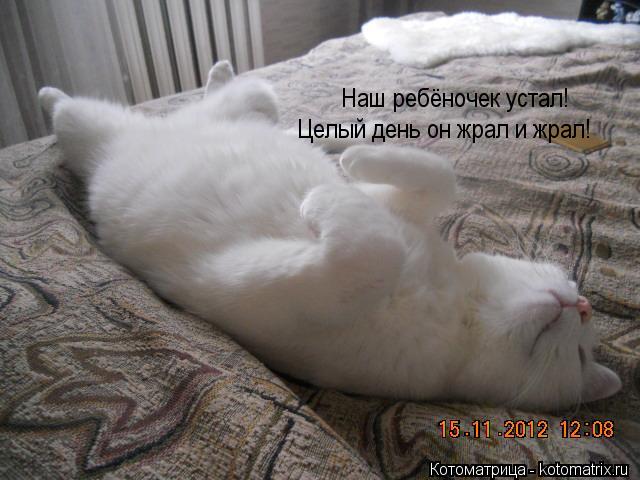 Наш ребёночек устал! Целый день он жрал и жрал!... Котоматрица: Наш ребёночек устал! Целый день он жрал и жрал!