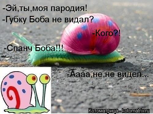 -Эй,ты,моя пародия! -Губку Боба не видал? -Кого?! -Спанч Боба!!! -Аааа,не,не видел...... Котоматрица: -Эй,ты,моя пародия! -Губку Боба не видал? -Кого?! -Спанч Боба!!! -Аааа,не,не видел...