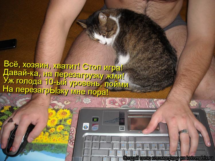 Давай-ка, на перезагрузку жми! Всё, хозяин, хватит! Стоп игра! На перезагрЫзку мне пора! Уж голода 10... Котоматрица: Давай-ка, на перезагрузку жми! Всё, хозяин, хватит! Стоп игра! На перезагрЫзку мне пора! Уж голода 10-ый уровень, пойми