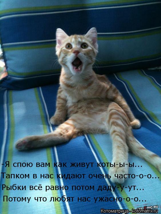 Потому что любят нас ужасно-о-о... Рыбки всё равно потом даду-у-ут... Тапком в нас кидают очень часто... Котоматрица: Потому что любят нас ужасно-о-о... Рыбки всё равно потом даду-у-ут... Тапком в нас кидают очень часто-о-о... -Я спою вам как живут коты-ы-ы...