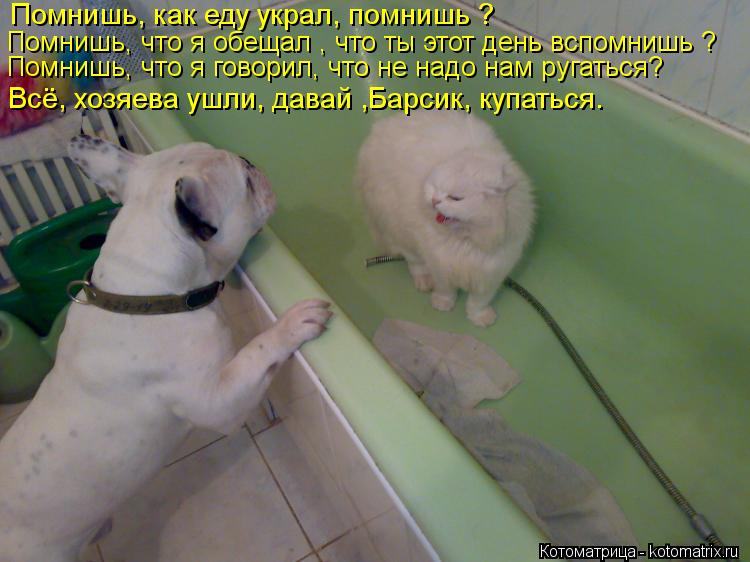 Я как вспомню что за пошел Я как вспомню что за пошел