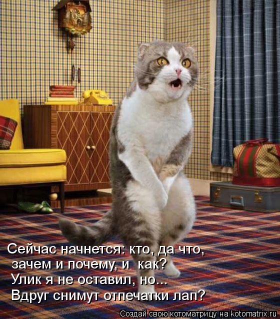 Сейчас начнется: кто, да что, Улик я не оставил, но... Вдруг снимут отпечатки лап? зачем и почему, и... Котоматрица: Сейчас начнется: кто, да что, Улик я не оставил, но... Вдруг снимут отпечатки лап? зачем и почему, и как?