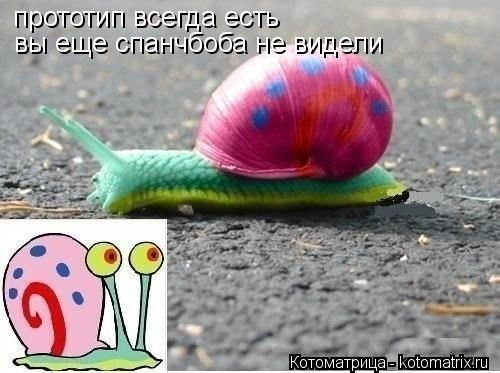 прототип всегда есть вы еще спанчбоба не видели... Котоматрица: прототип всегда есть вы еще спанчбоба не видели