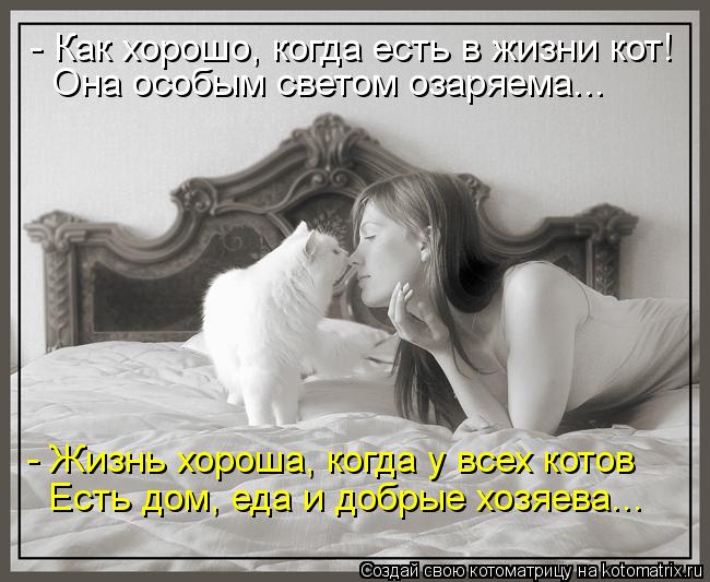 - Как хорошо, когда есть в жизни кот! Она особым светом озаряема... - Жизнь хороша, когда у всех кото... Котоматрица: - Как хорошо, когда есть в жизни кот! Она особым светом озаряема... - Жизнь хороша, когда у всех котов Есть дом, еда и добрые хозяева...