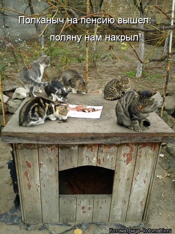 Эти забавные животные