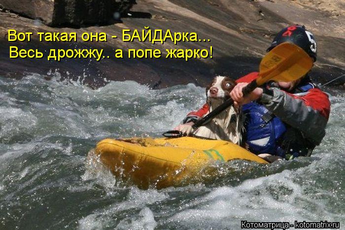 Вот такая она - БАЙДАрка... Весь дрожжу.. а попе жарко!... Котоматрица: Вот такая она - БАЙДАрка... Весь дрожжу.. а попе жарко!