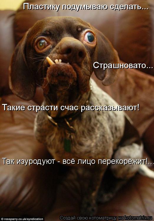 Посмеялся сам - поделись с другом!!!