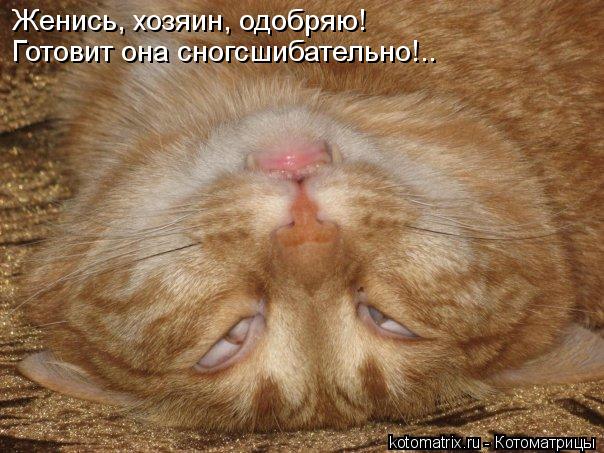 Котоматрица: Женись, хозяин, одобряю! Готовит она сногсшибательно!..