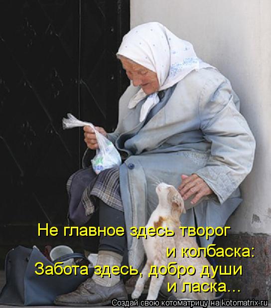 Не главное здесь творог и колбаска: Забота здесь, добро души и ласка...... Котоматрица: Не главное здесь творог и колбаска: Забота здесь, добро души и ласка...