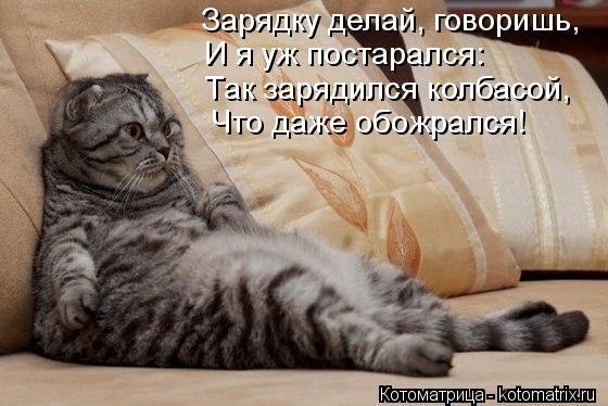Зарядку делай, говоришь, И я уж постарался: Так зарядился колбасой, Что даже обожрался!... Котоматрица: Зарядку делай, говоришь, И я уж постарался: Так зарядился колбасой, Что даже обожрался!