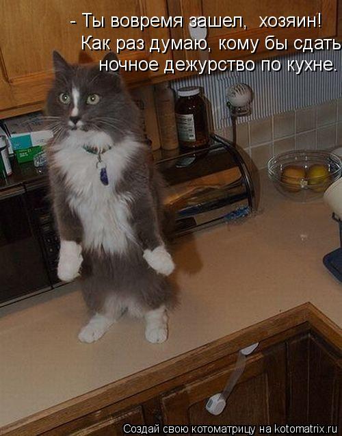 Котоматрица: - Ты вовремя зашел,  хозяин! Как раз думаю, кому бы сдать  ночное дежурство по кухне.