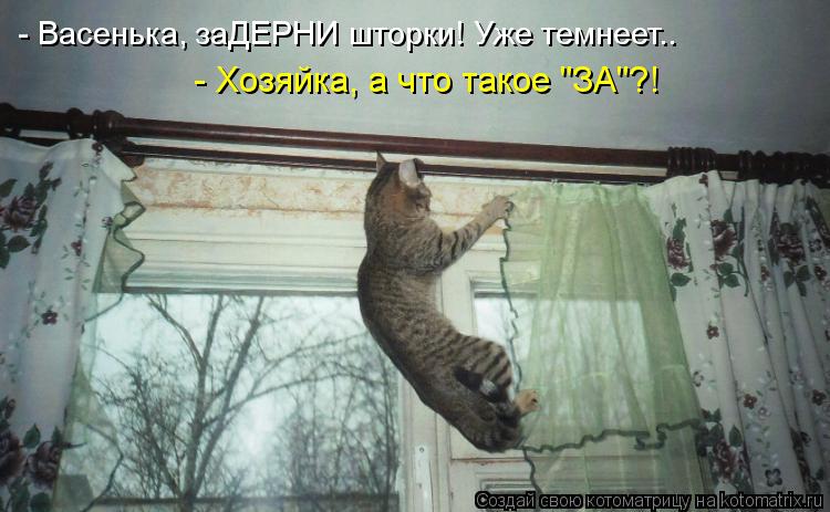 - Васенька, заДЕРНИ шторки! Уже темнеет.. - Хозяйка, а что такое "ЗА"?!... Котоматрица: - Васенька, заДЕРНИ шторки! Уже темнеет.. - Хозяйка, а что такое "ЗА"?!