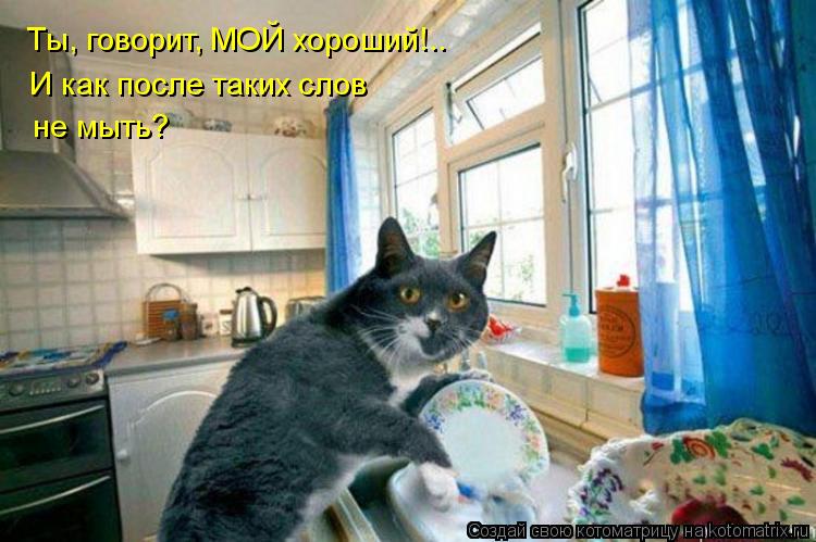 Ты, говорит, МОЙ хороший!.. И как после таких слов не мыть?... Котоматрица: Ты, говорит, МОЙ хороший!.. И как после таких слов не мыть?