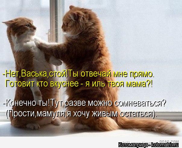 -Нет,Васька,стой!Ты отвечай мне прямо. Готовит кто вкуснее - я иль твоя мама?! -Конечно ты!Тут разве ... Котоматрица: -Нет,Васька,стой!Ты отвечай мне прямо. Готовит кто вкуснее - я иль твоя мама?! -Конечно ты!Тут разве можно сомневаться? (Прости,мамуля,я хочу жи