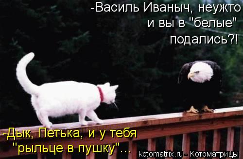 -Василь Иваныч, неужто и вы в "белые" подались?! -Дык, Петька, и у тебя "рыльце в пушку"...... Котоматрица: -Василь Иваныч, неужто и вы в "белые" подались?! -Дык, Петька, и у тебя "рыльце в пушку"...