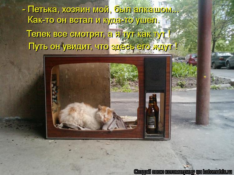 Котоматрица: - Петька, хозяин мой, был алкашом... Как-то он встал и куда-то ушел. Телек все смотрят, а я тут как тут ! Путь он увидит, что здесь его ждут !