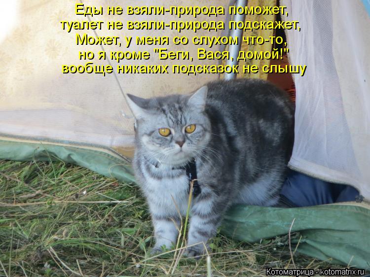 Еды не взяли-природа поможет, Может, у меня со слухом что-то, но я кроме "Беги, Вася, домой!" вообще ... Котоматрица: Еды не взяли-природа поможет, Может, у меня со слухом что-то, но я кроме "Беги, Вася, домой!" вообще никаких подсказок не слышу туалет не взяли-