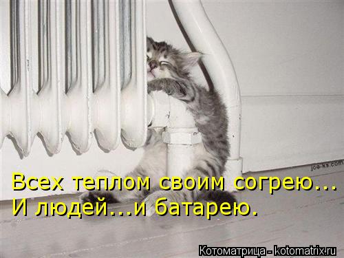 Всех теплом своим согрею... И людей...и батарею.... Котоматрица: Всех теплом своим согрею... И людей...и батарею.