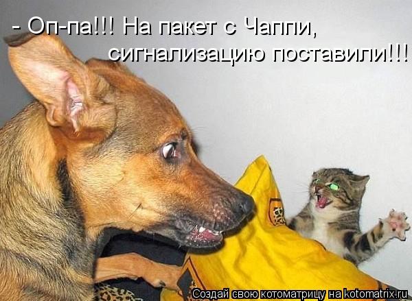 - Оп-па!!! На пакет с Чаппи, сигнализацию поставили!!!... Котоматрица: - Оп-па!!! На пакет с Чаппи, сигнализацию поставили!!!