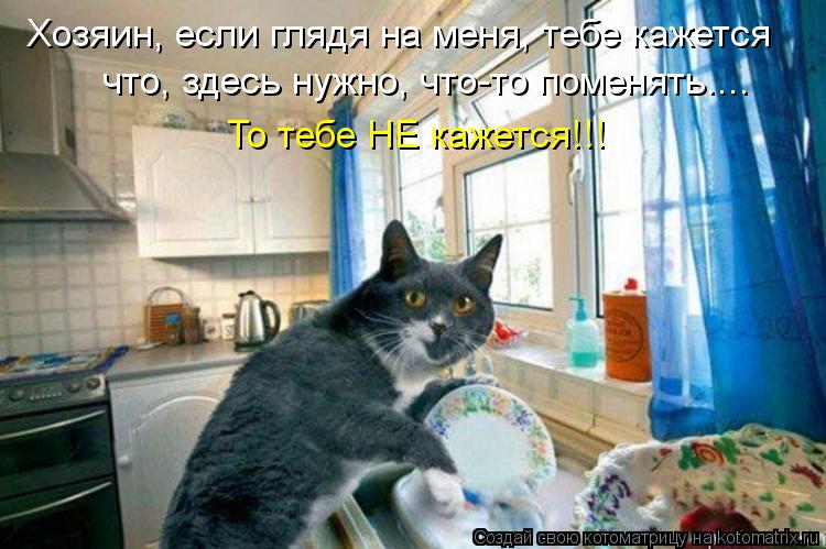 Хозяин, если глядя на меня, тебе кажется что, здесь нужно, что-то поменять.... То тебе НЕ кажется!!!... Котоматрица: Хозяин, если глядя на меня, тебе кажется что, здесь нужно, что-то поменять.... То тебе НЕ кажется!!!