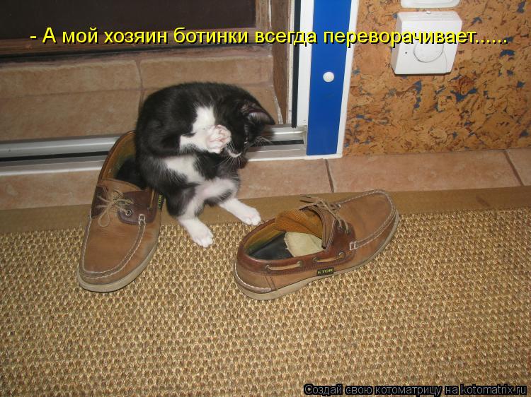 - А мой хозяин ботинки всегда переворачивает......... Котоматрица: - А мой хозяин ботинки всегда переворачивает......