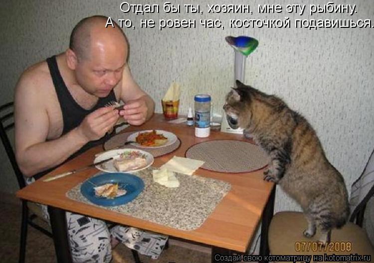Котоматрица: Отдал бы ты, хозяин, мне эту рыбину. А то, не ровен час, косточкой подавишься.