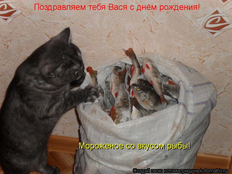 Котоматрица: Поздравляем тебя Вася с днём рождения! Мороженое со вкусом рыбы!