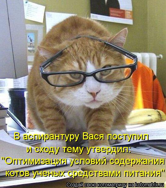 В аспирантуру Вася поступил и сходу тему утвердил: "Оптимизация условий содержания котов ученых сред... Котоматрица: В аспирантуру Вася поступил и сходу тему утвердил: "Оптимизация условий содержания котов ученых средствами питания"