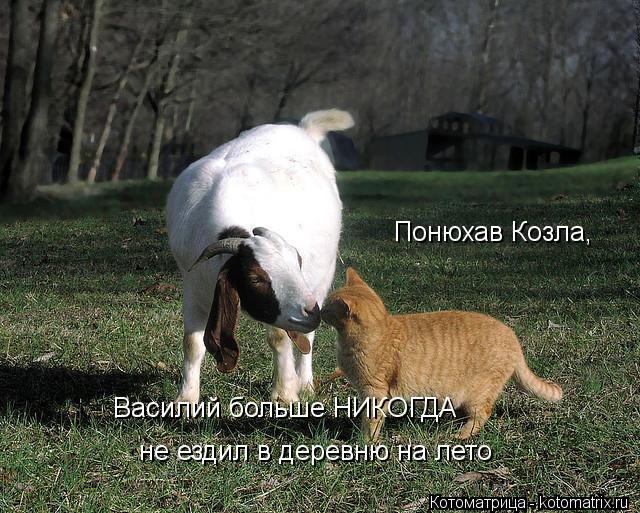 Скачать Фгос программа по изо 3 Рабочая программа по изо 1 класс п…