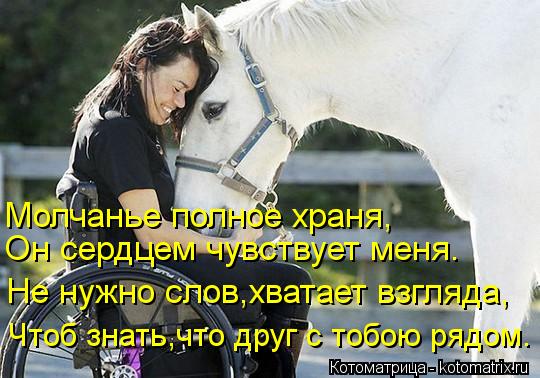 Он сердцем чувствует меня. Молчанье полное храня, Не нужно слов,хватает взгляда, Чтоб знать,что друг ... Котоматрица: Он сердцем чувствует меня. Молчанье полное храня, Не нужно слов,хватает взгляда, Чтоб знать,что друг с тобою рядом.