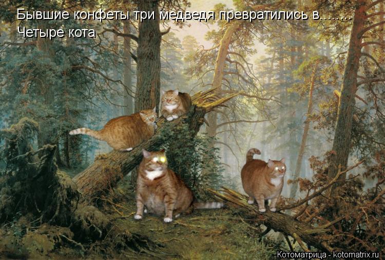 Котоматрица: Бывшие конфеты три медведя превратились в........ Четыре кота