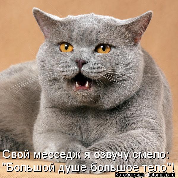 "Большой душе-большое тело"! Свой месседж я озвучу смело:... Котоматрица: "Большой душе-большое тело"! Свой месседж я озвучу смело: