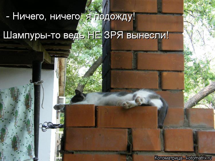 Котоматрица: - Ничего, ничего, я подожду! Шампуры-то ведь НЕ ЗРЯ вынесли!