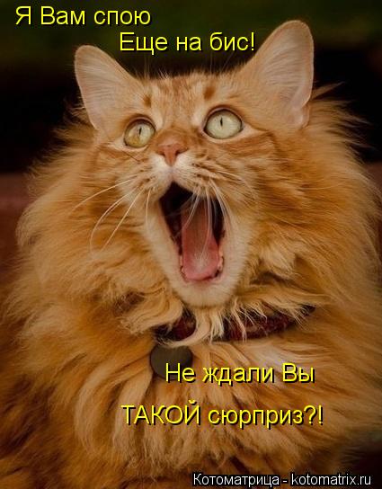 Я Вам спою Еще на бис! Не ждали Вы ТАКОЙ сюрприз?!... Котоматрица: Я Вам спою Еще на бис! Не ждали Вы ТАКОЙ сюрприз?!