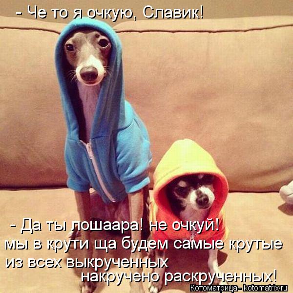 - Че то я очкую, Славик! - Да ты лошаара! не очкуй! мы в крути ща будем самые крутые из всех выкруче... Котоматрица: - Че то я очкую, Славик! - Да ты лошаара! не очкуй! мы в крути ща будем самые крутые из всех выкрученных накручено раскрученных!